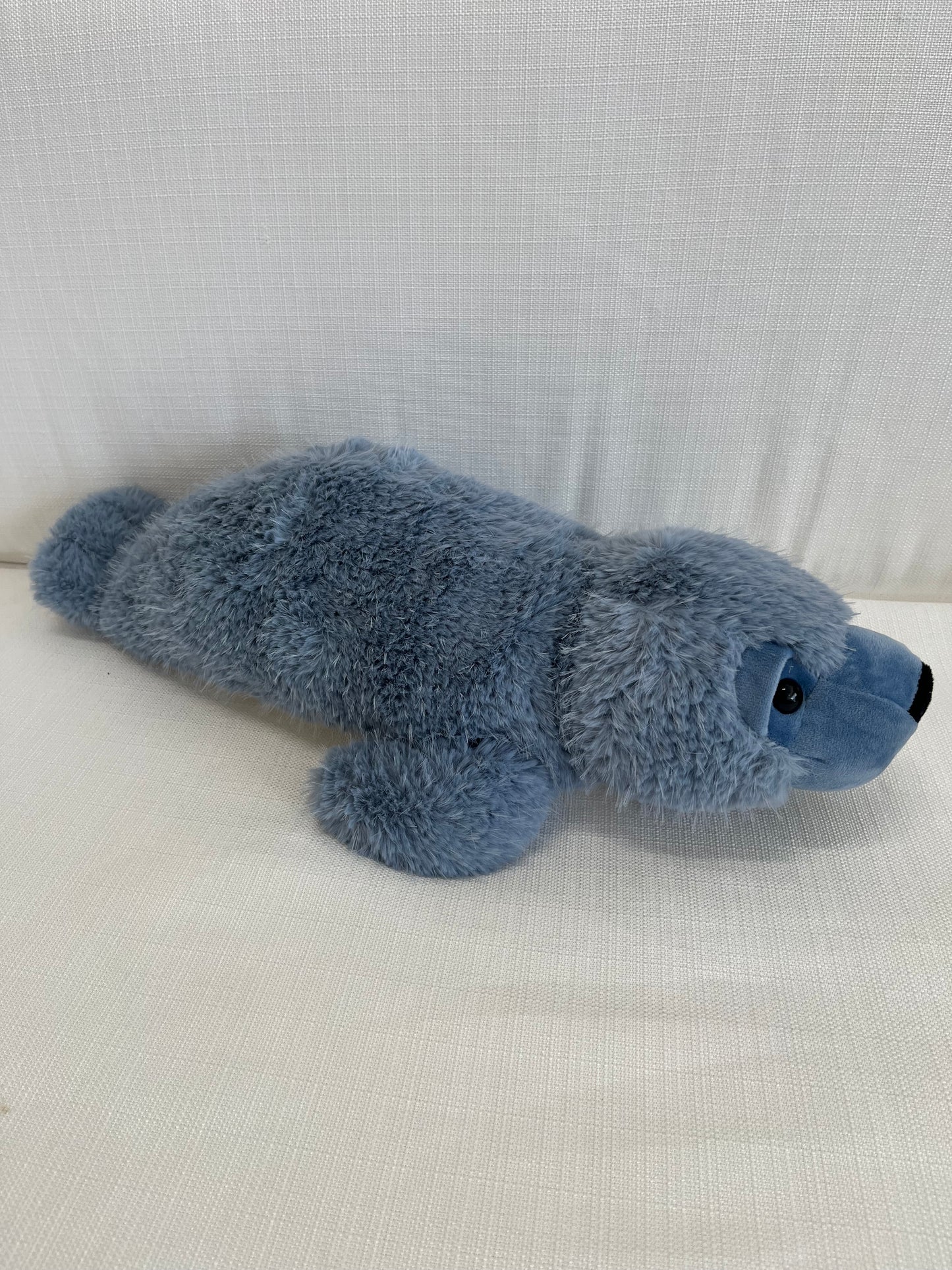 Blue Harbor Seal