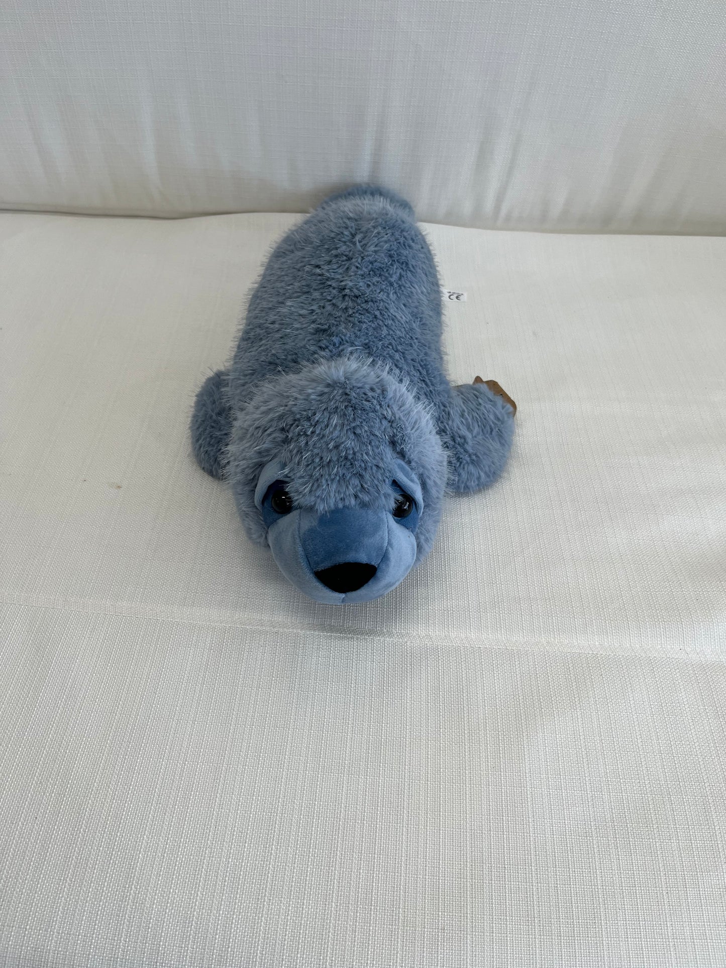 Blue Harbor Seal