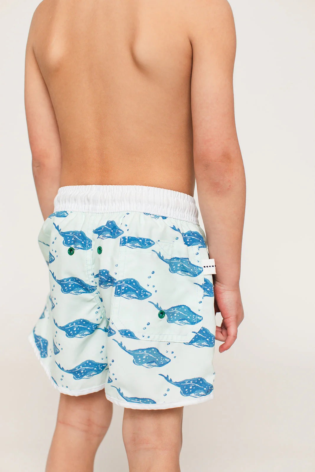 The SWIM Short- Stingray